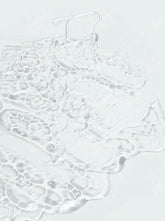 Image-Skincare-I-Beauty-Brow-Lash-Enhacement-Serum-Serum-wzmacniajace-do-brwi-i-rzes-4-ml-swatch